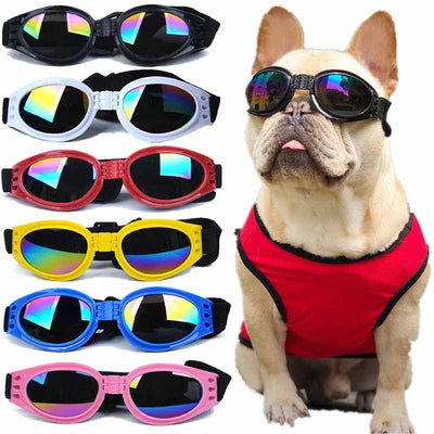 https://pawreflex.com/products/dog-sunglasses