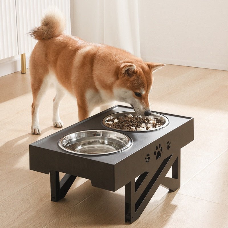 HARIO Double-sided Magnetic Bowl for Small Dogs - Shop necoichi